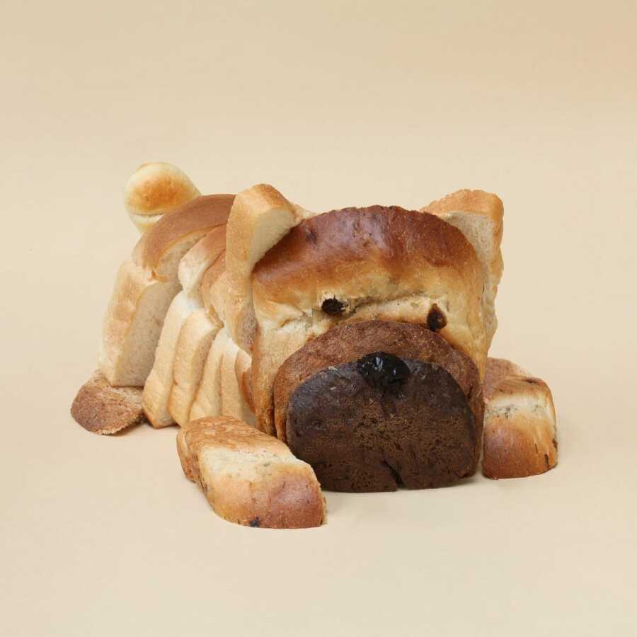 slices of bread positioned and photographed to look like a puppy