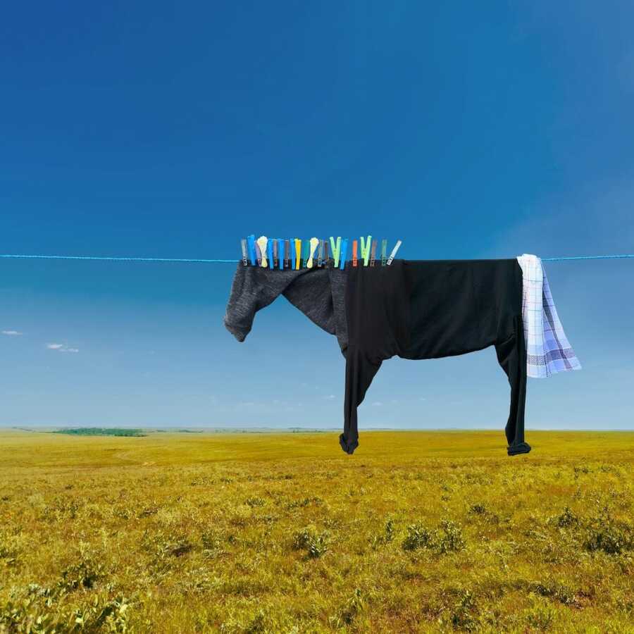 clothes on a clothesline and clips positioned in a way to look like a horse in a field