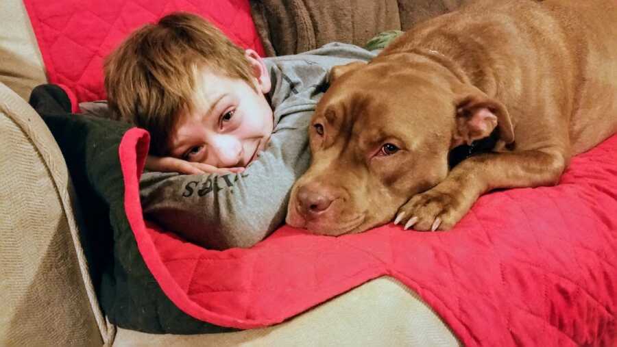 loyal dog lays with his young boy owner