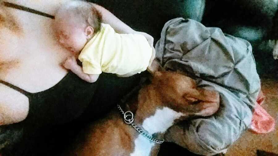 mother has her baby laying on her chest while her dog lays across her lap