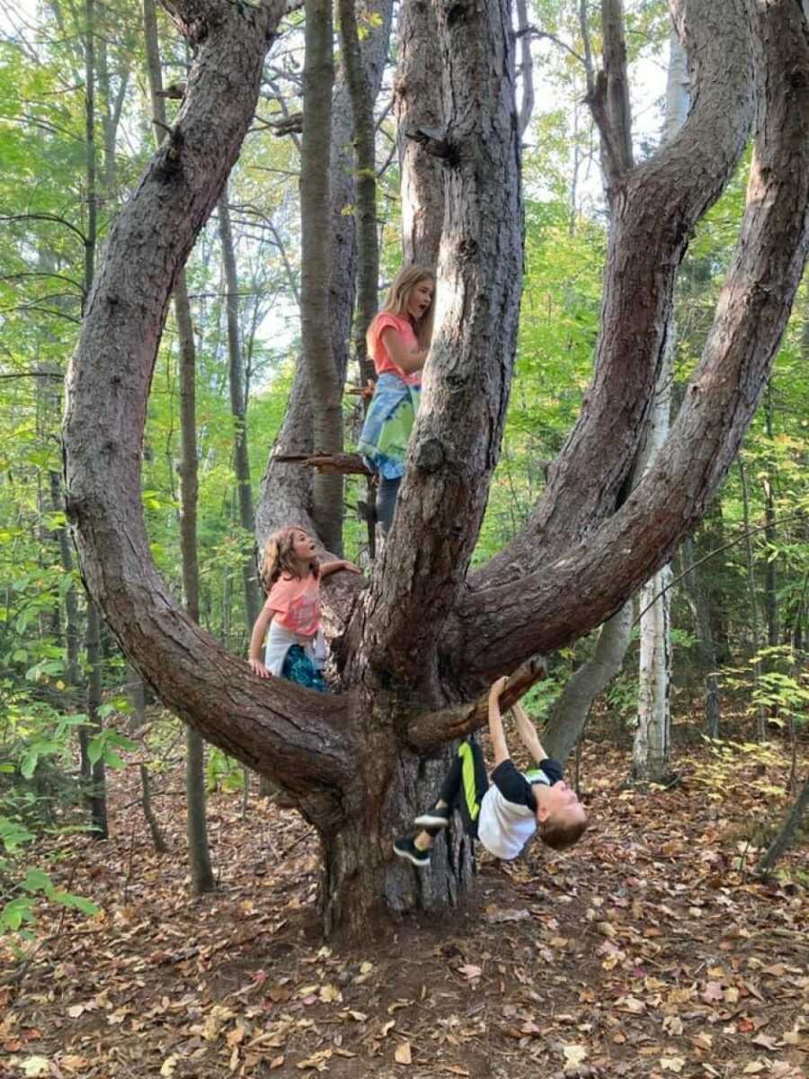 three children playing in a large tree and having fun