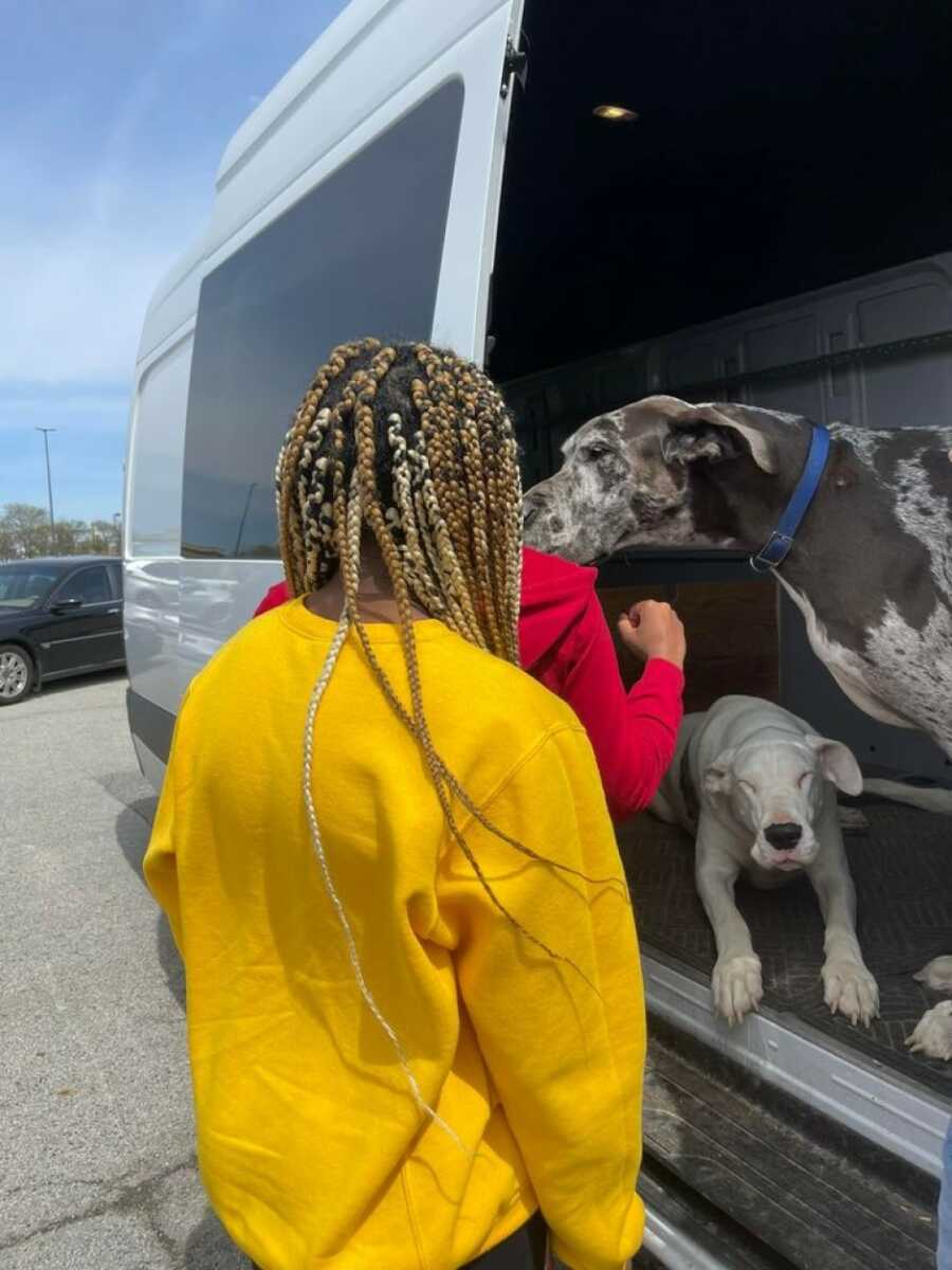 picture of the dogs rescued
