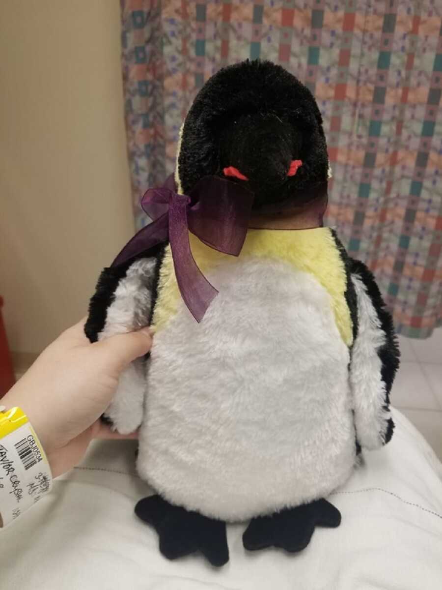 Penguin stuffed animal purchased from hospital gift shop.