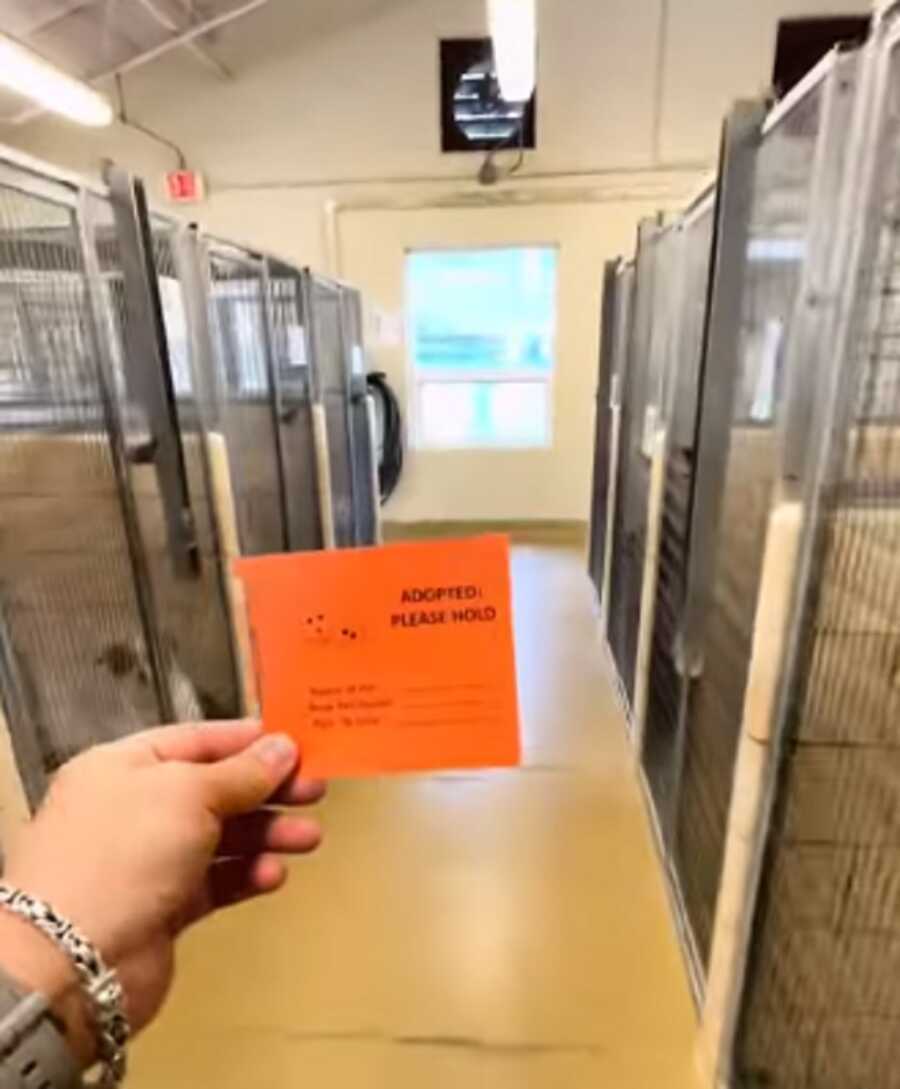Man approaches shelter dog with orange card signaling adoption.