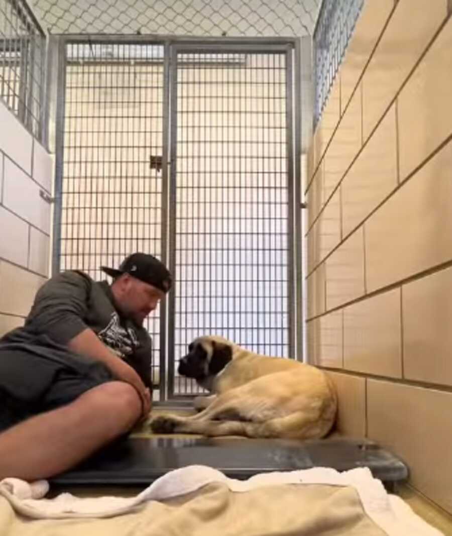 Veteran sits in shelter on the floor next to female dog.