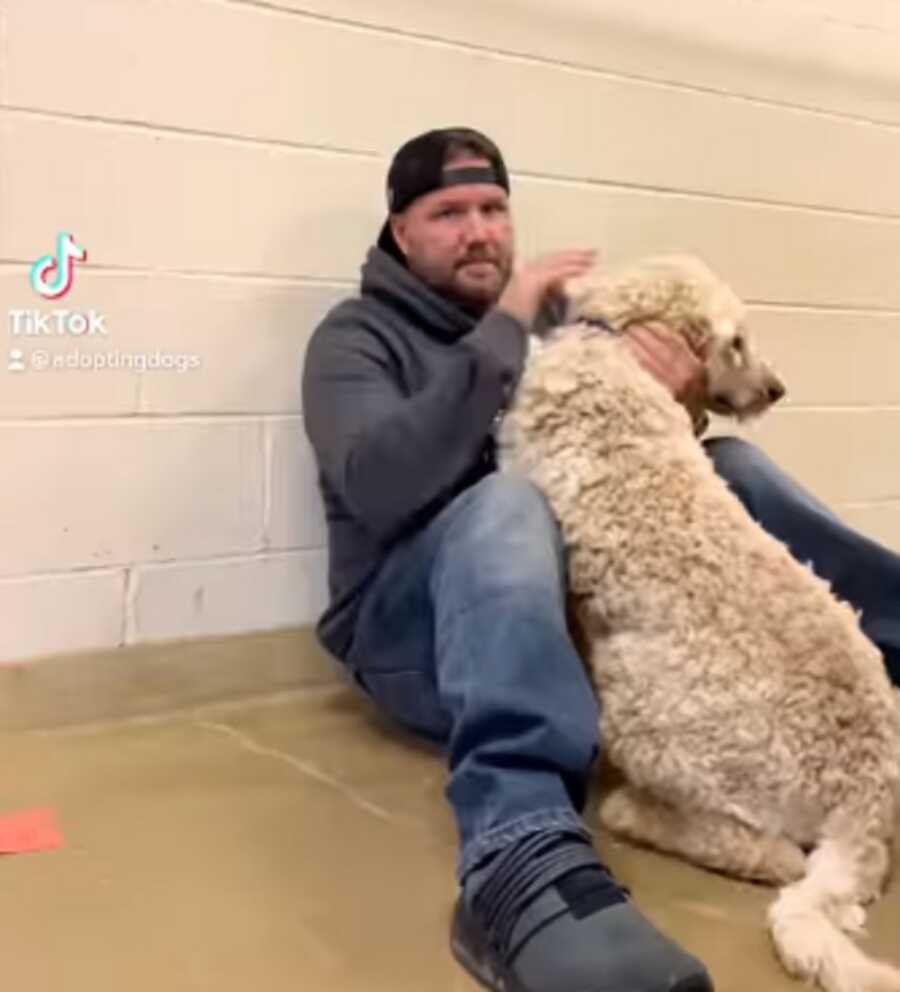 Former marine sits and pets shelter dog.
