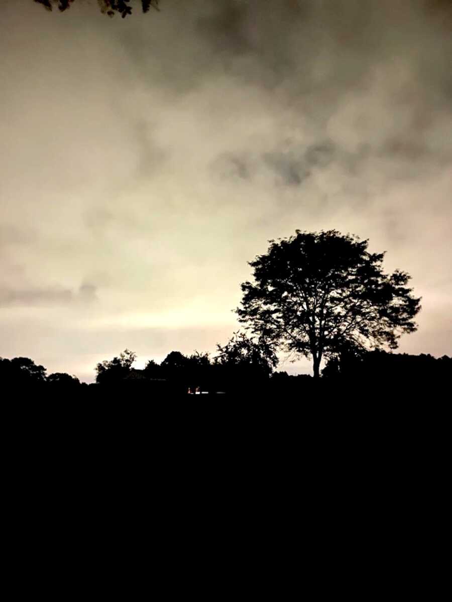 sky and dark treeline