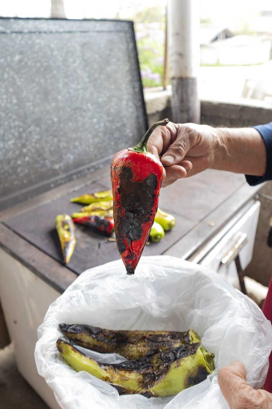 A grandmother transfers peppers to a plastic bag to cool