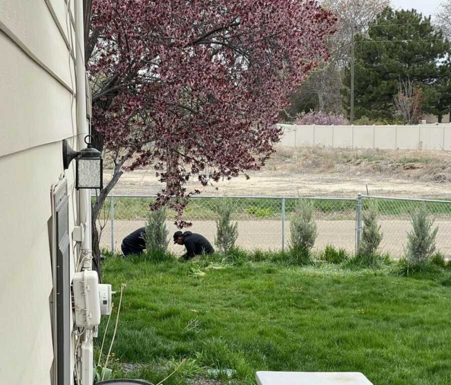 gardeners looking through the grass to find necklace
