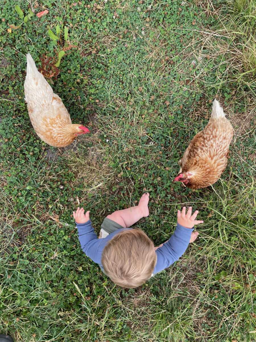 Young foster kid loves interacting with the chickens.