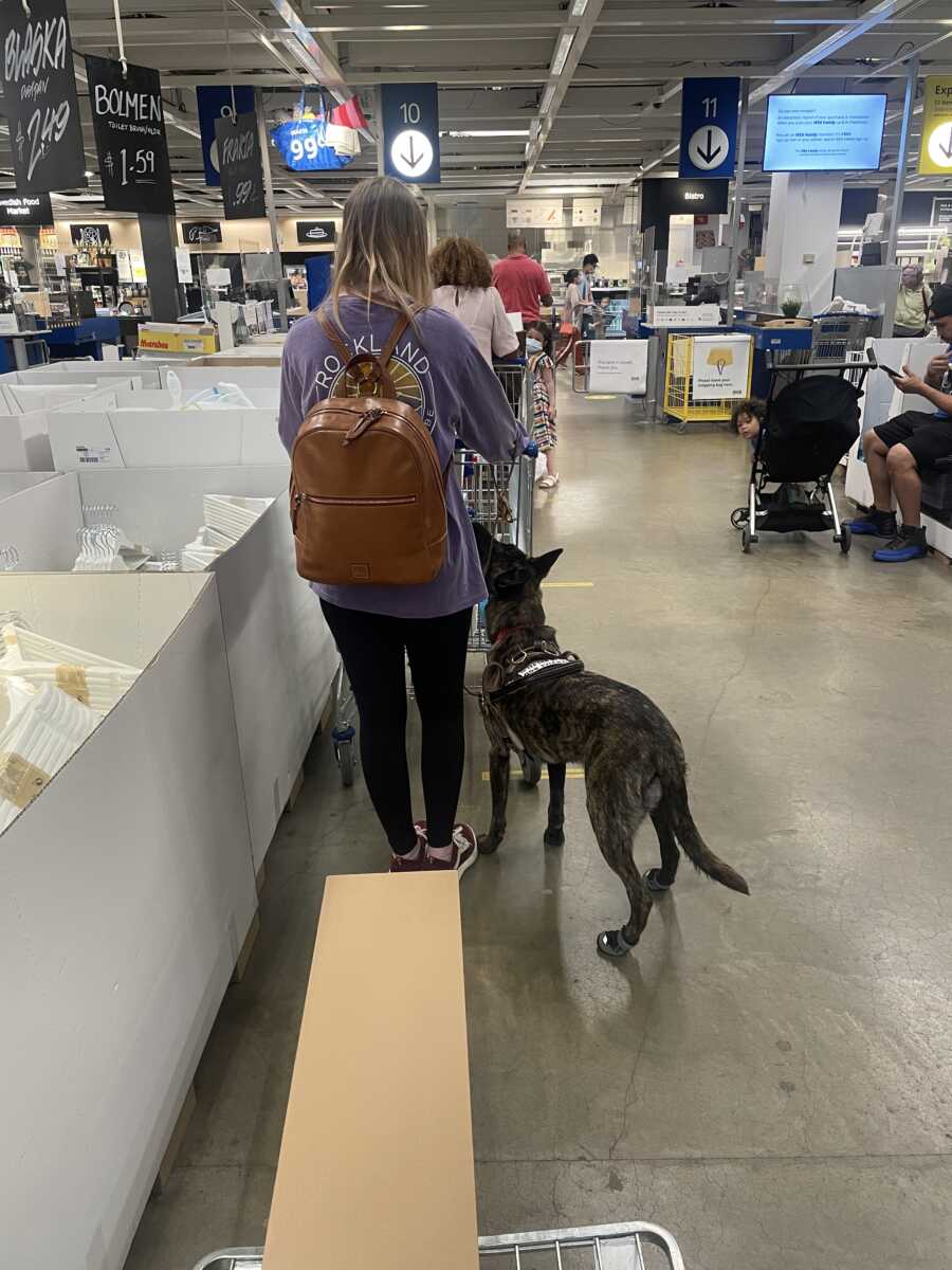 service dog at the store with her handler