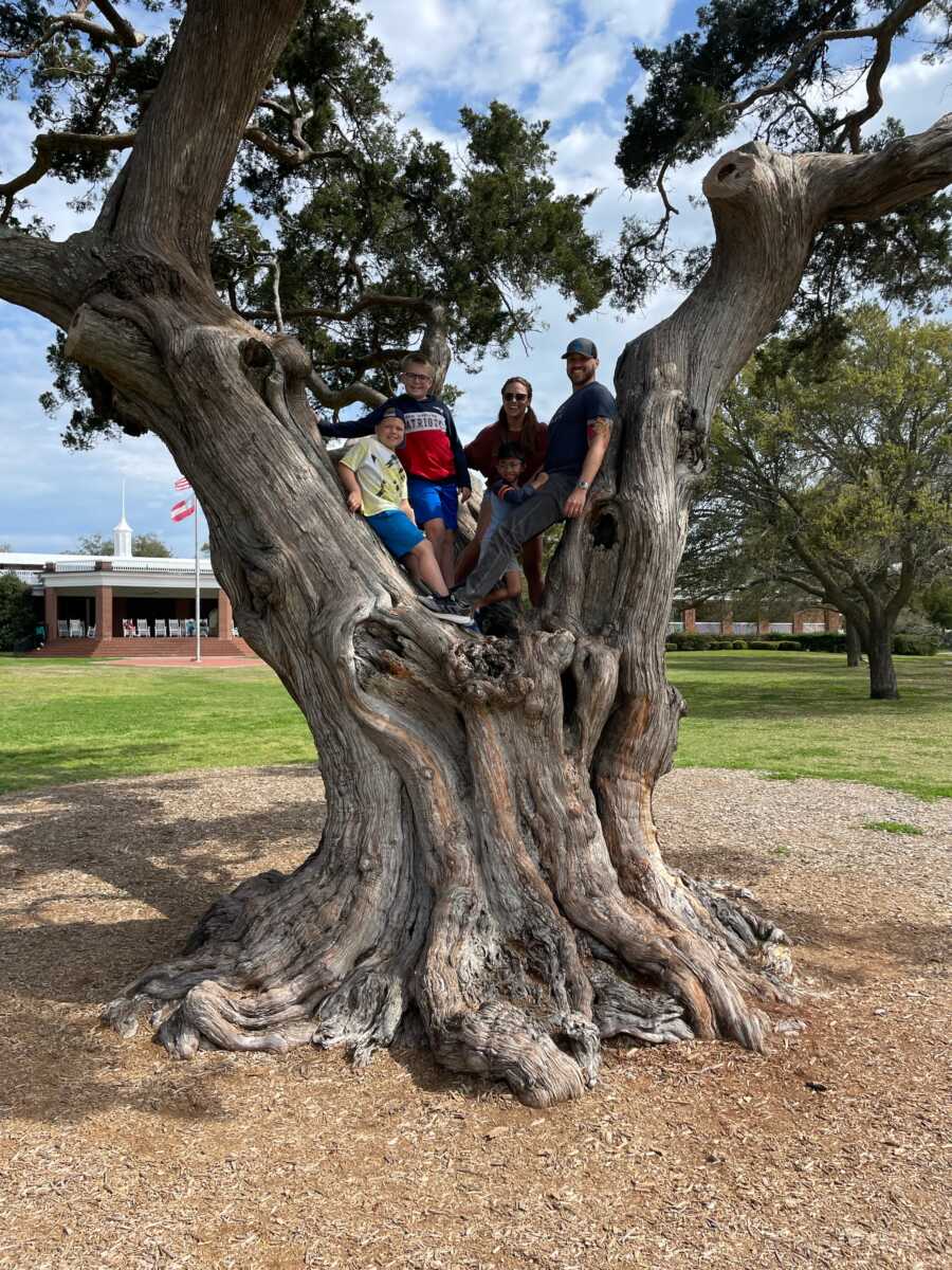 family up in a tree