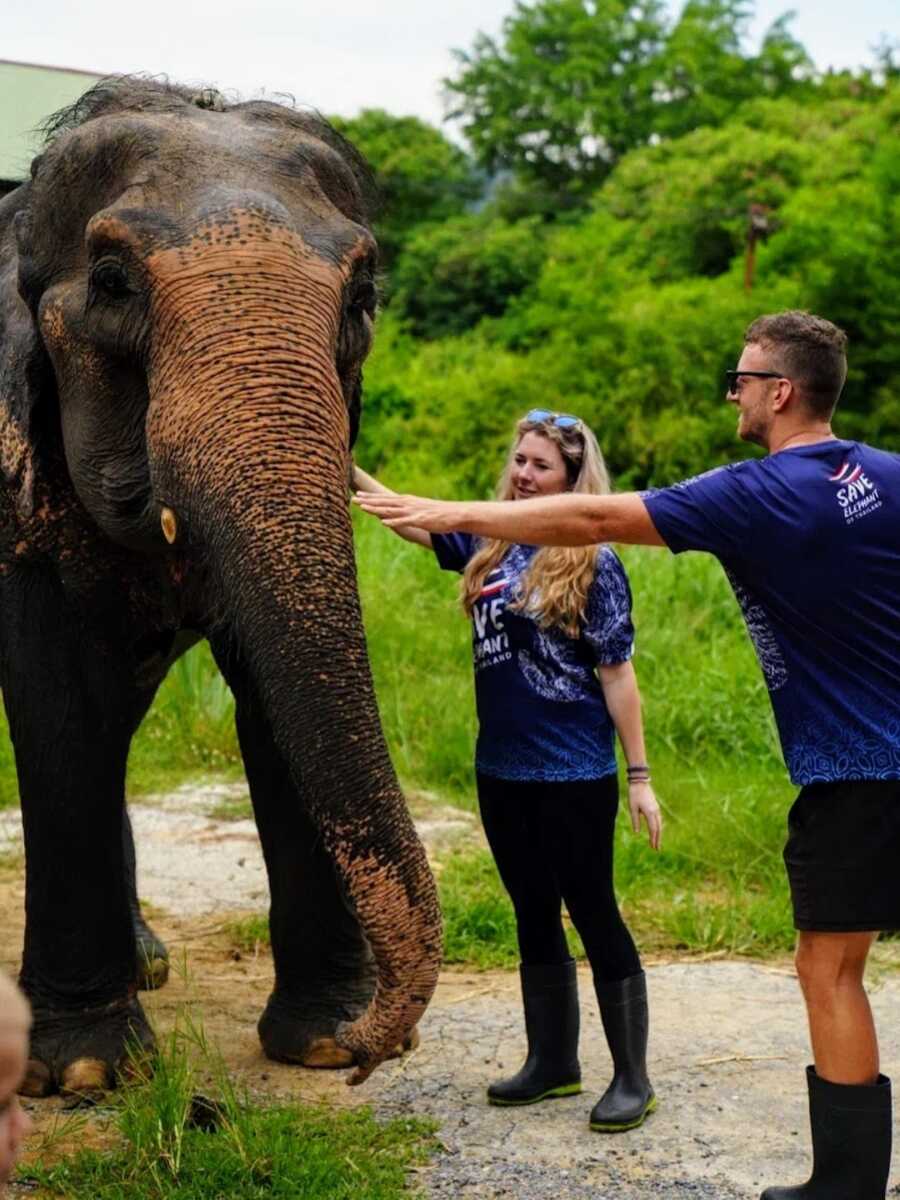 husband and wife touching elephant trunk