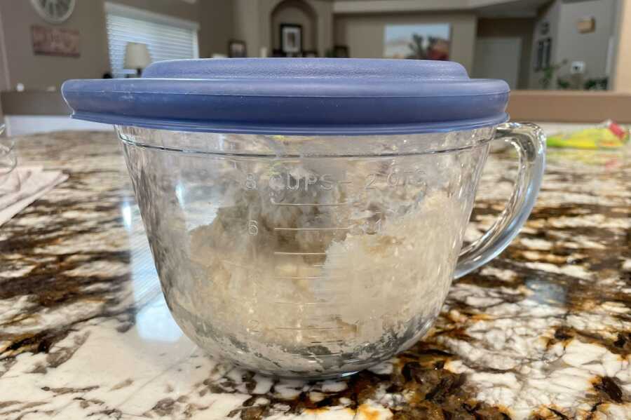 kolaches dough in sealed mixing bowl container