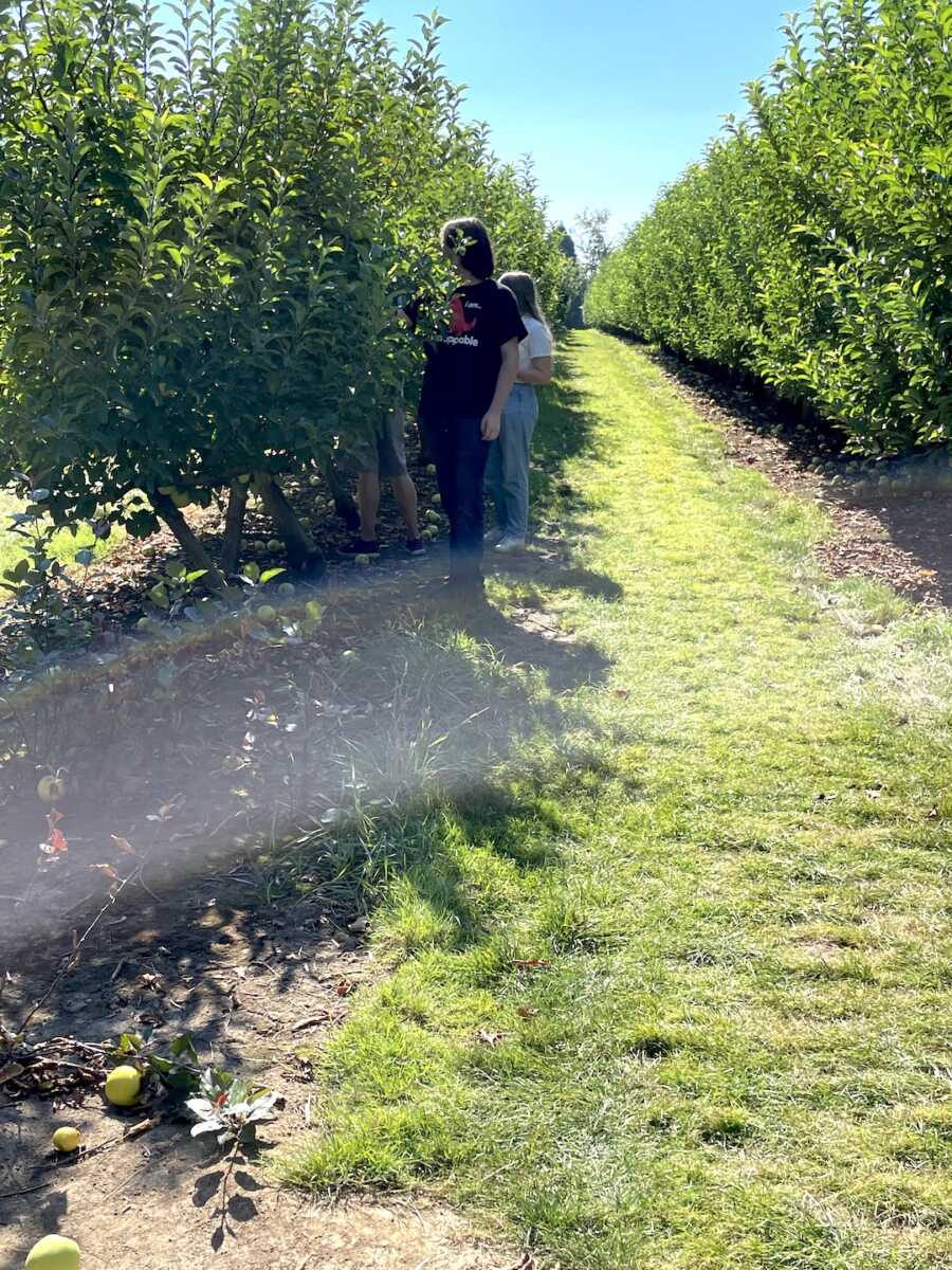 stepchildren picking fruit off of trees in orchard